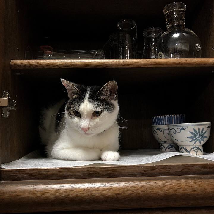 4658077a 93a7 4d4b b082 c4cd7c41da43 1656847617820