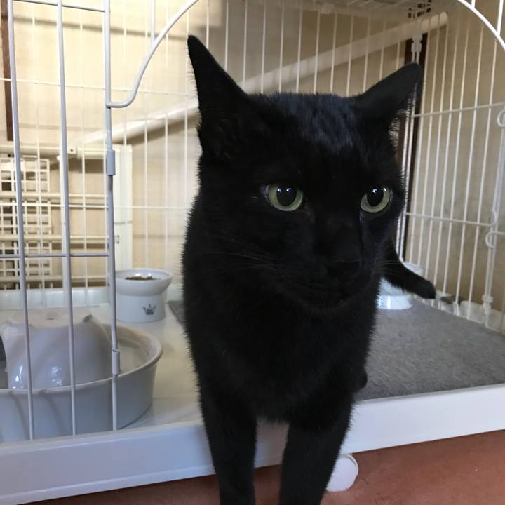 46581fac 5a0d 4304 b5ce 85477f5a85d8 1510623205511