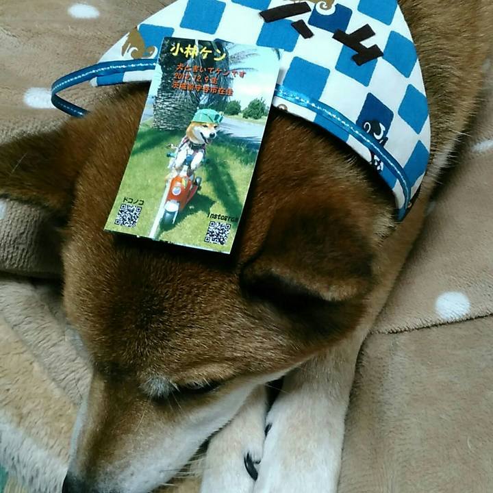 46583116 3854 4420 8dbd ce9eb67164b4 1569235360880