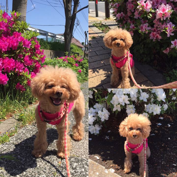 46583c17 3e0d 40b1 885f 83045197b682 1524123480537