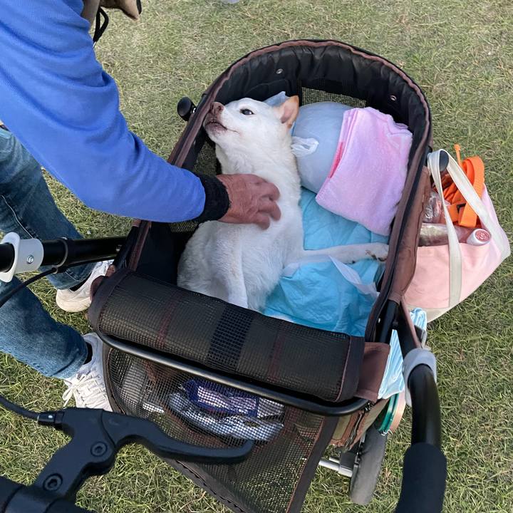 46585e5a db80 48eb 8f8c bb3c88438b94 1666696698866