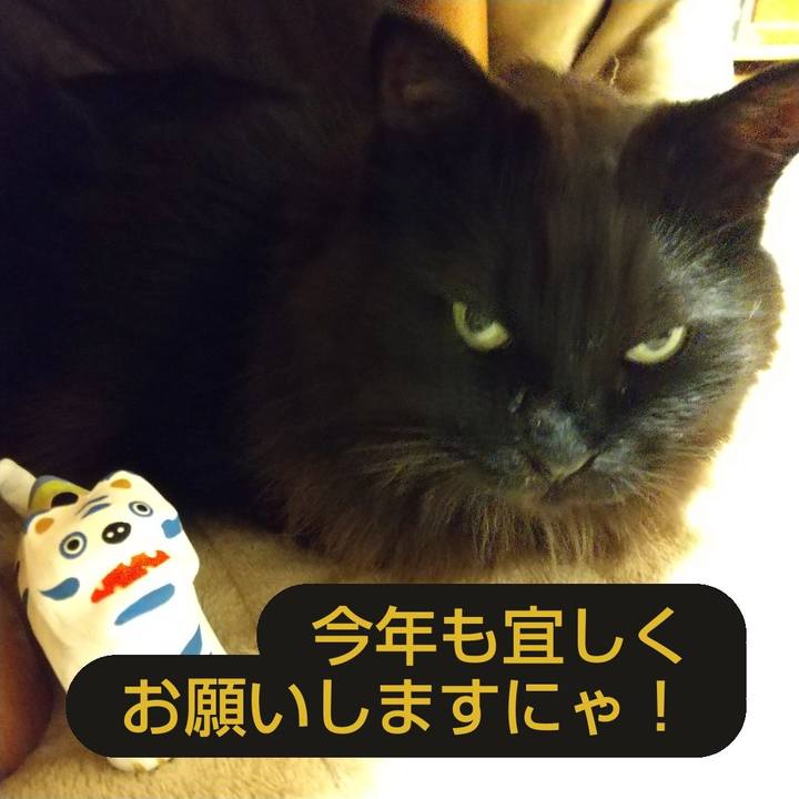 46586ca6 4434 45f5 901d 3c538cf468a5 1641280740409