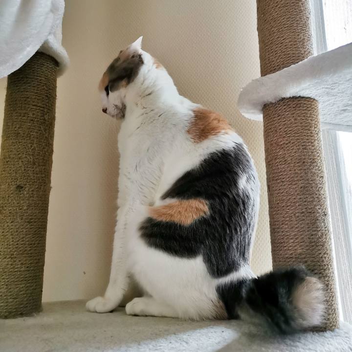 46587e7b c8c0 42cc aced 3b492ca0c9dd 1675223403539