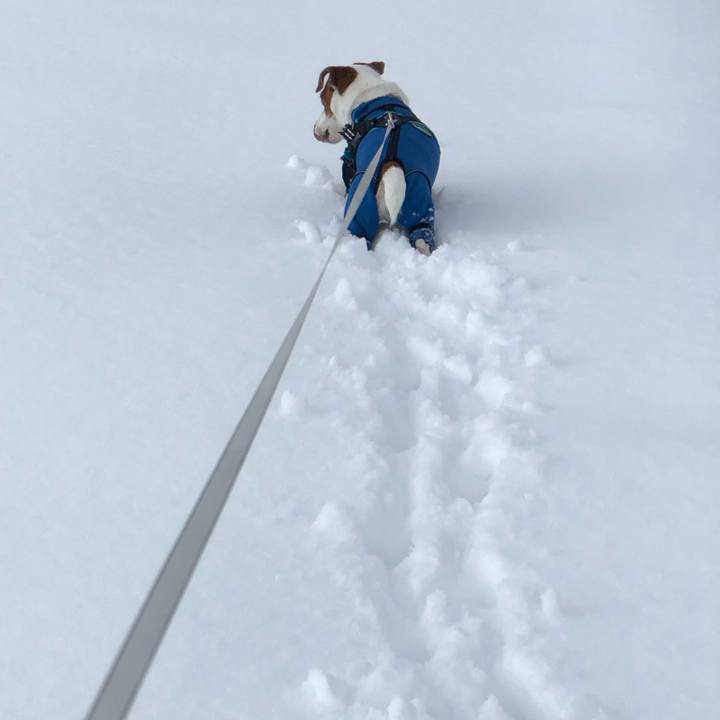 4658a55d 7694 42fd a083 2992dc2cad5c 1706348524747