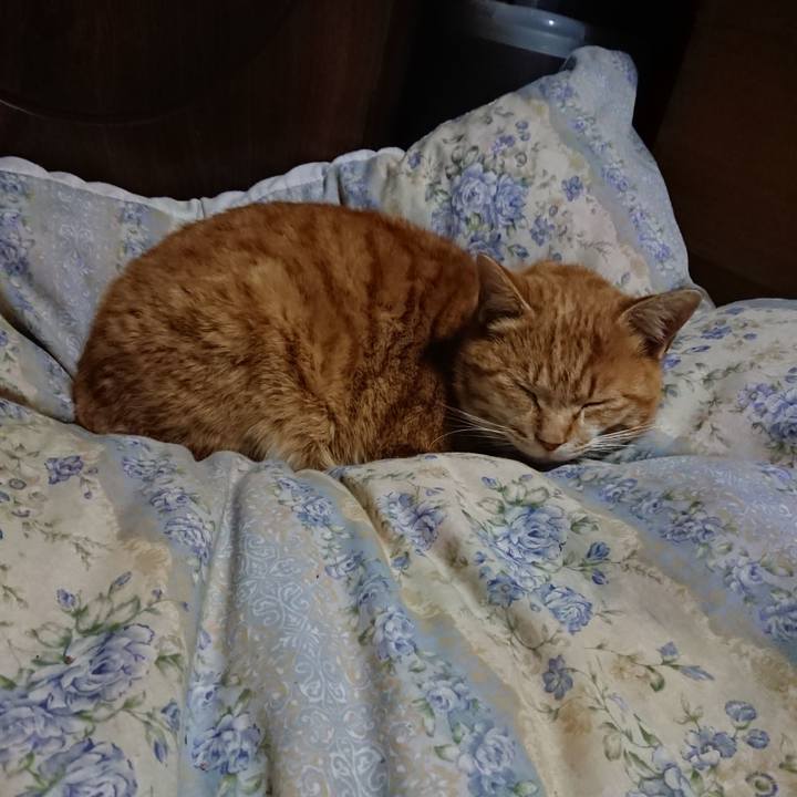 4658bcb2 0ca7 45fa 9ced 905aa9830db1 1583496399180