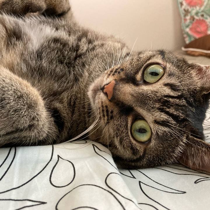 4658e2cf dc5b 46a7 ba07 fdb336d0b84c 1624753230701