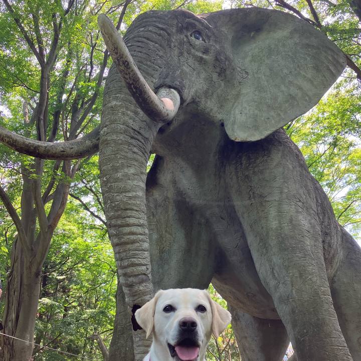 4658f27e 43e5 48fb af27 d05498fd33d9 1686119243077