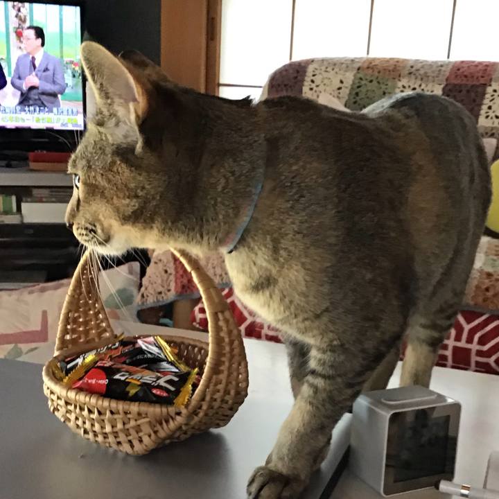 465912f0 9aff 4628 9a7f 9220d778b2ee 1580441908677