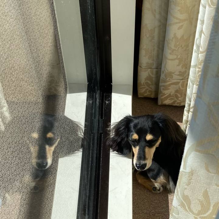 46591d01 fcb0 4883 920b d3da3cc0aa0d 1698807252947