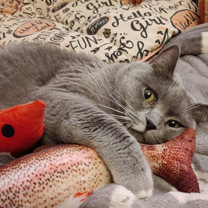 465965a2 4239 45f3 9a27 aac666b86057 1614401311749