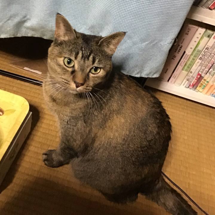 465978db 74b6 4a19 81f3 3d22f3d6b899 1732006440012