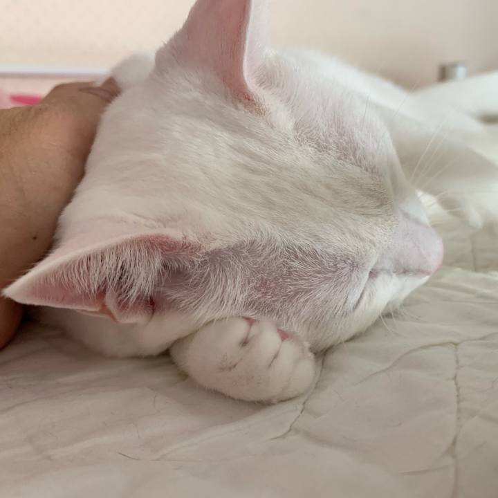 46599e9f f60e 4125 8d7f 71d37371dfff 1608375243622