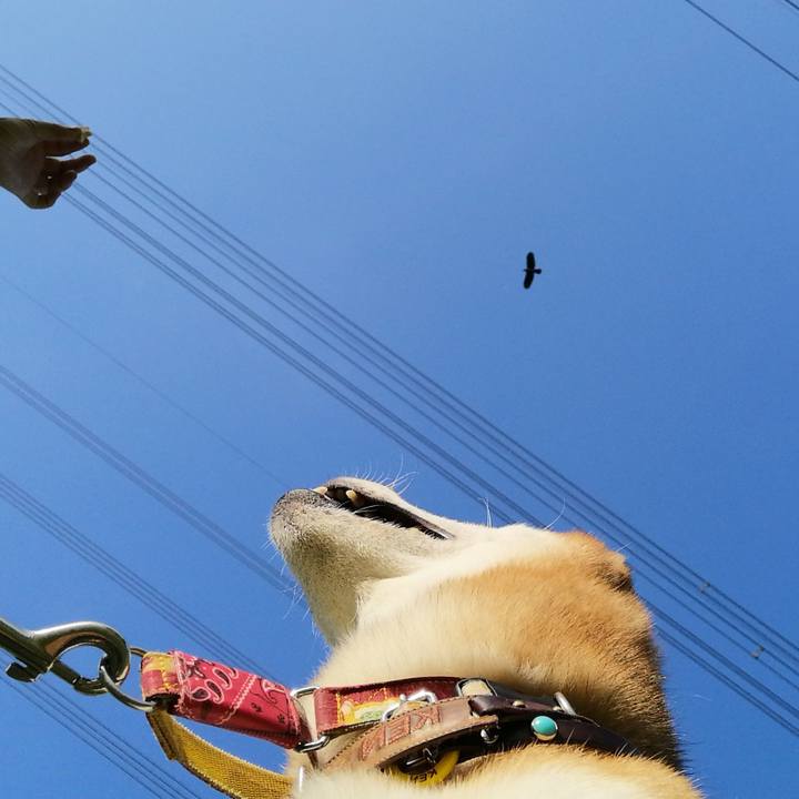 4659acad 7651 4fad b01c 496c82df1eac 1596191285658