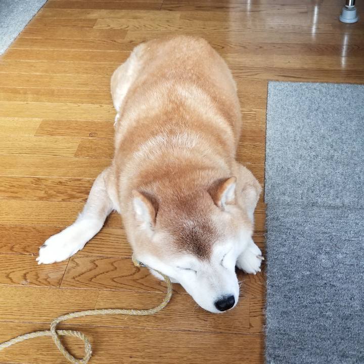 4659b74c fa9a 46a2 8e63 311350729d88 1701743694478