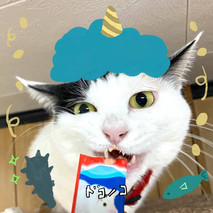 465a292b 6838 4dd4 9d62 d1a5fba562f8 1706796649014