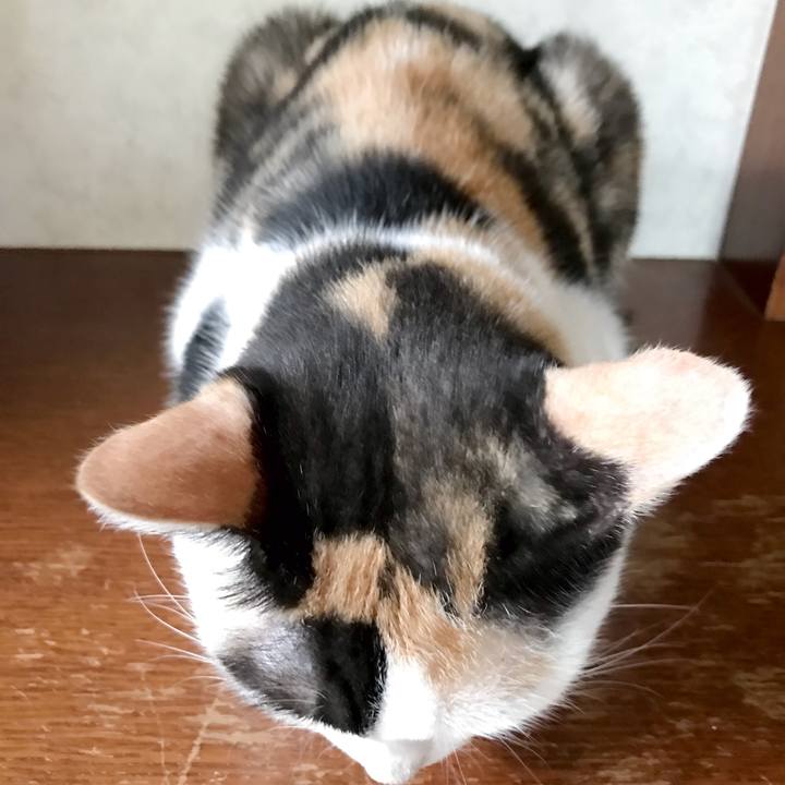 465a2c11 3d5b 483a 92a5 908e8d9c52d3 1537318031741