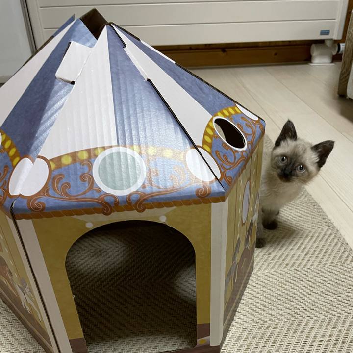 465a585b 2e92 439d b50e 2fc49b53d2d1 1686829546092