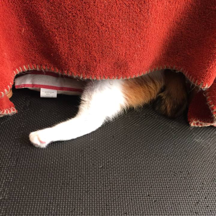 465ac1f3 d0ce 43c7 8d2c 6a0f8dd802e6 1572171926915