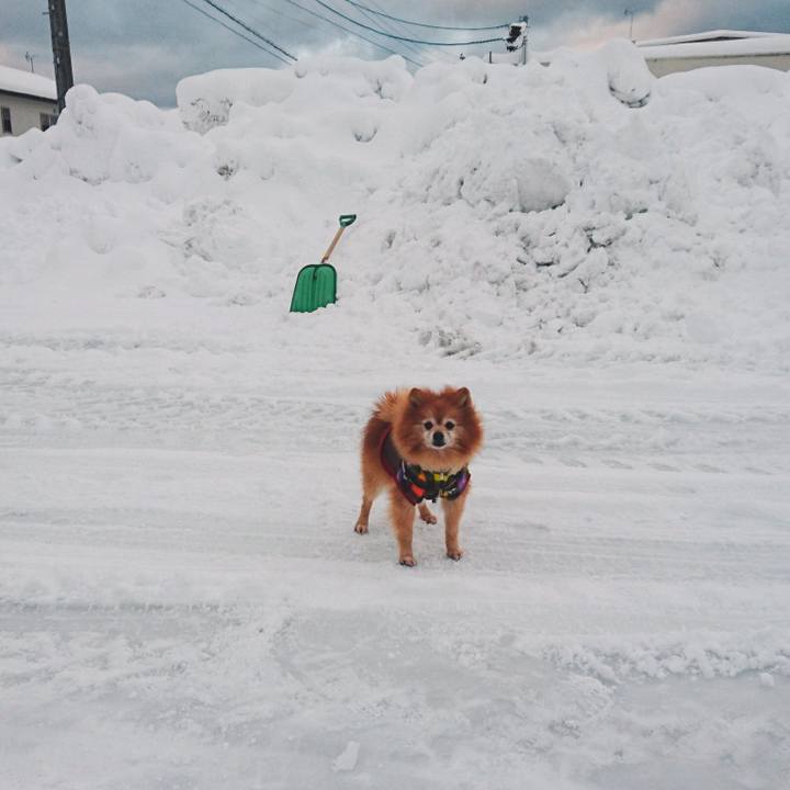 465ac95b 7fcc 4c73 bf48 4ef8eb81c6f8 1516190672169