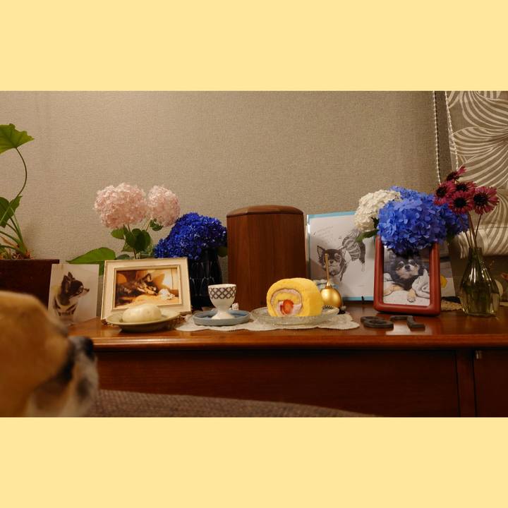 465ace4e 66ab 48a3 9733 4e61013b0103 1655853809214