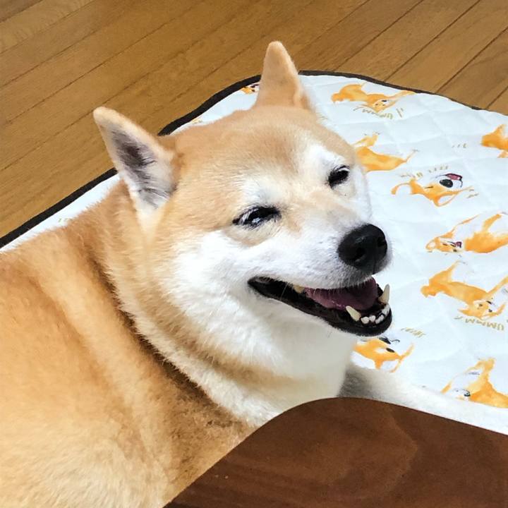 465ad3bf 94e3 4b93 8c8f 83b5e7b4dfaa 1568265066652