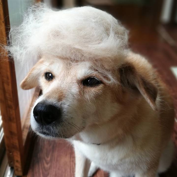 465ad5cc 8779 4d7e b5f0 7370d5d5ae01 1564027966179