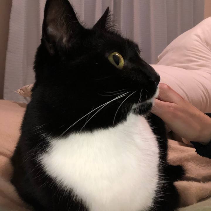 465af3e0 8164 4a94 aa7d c3acb83d1836 1553725563916