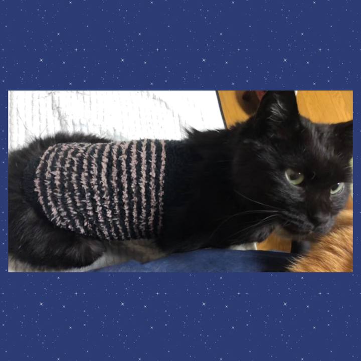 465af3ec 6325 485b 871b 1158d0003a85 1637067608174