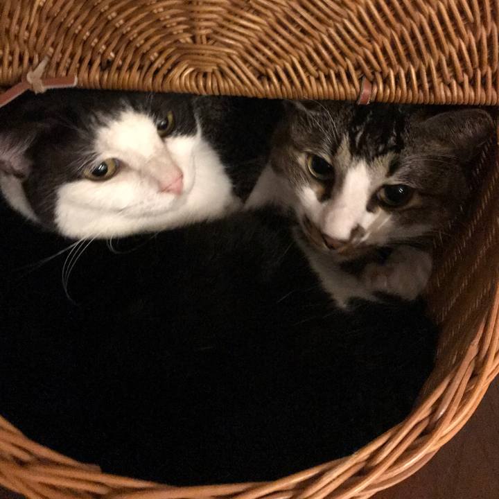 465b539d c35b 49c2 be85 40960d80b605 1570318090660