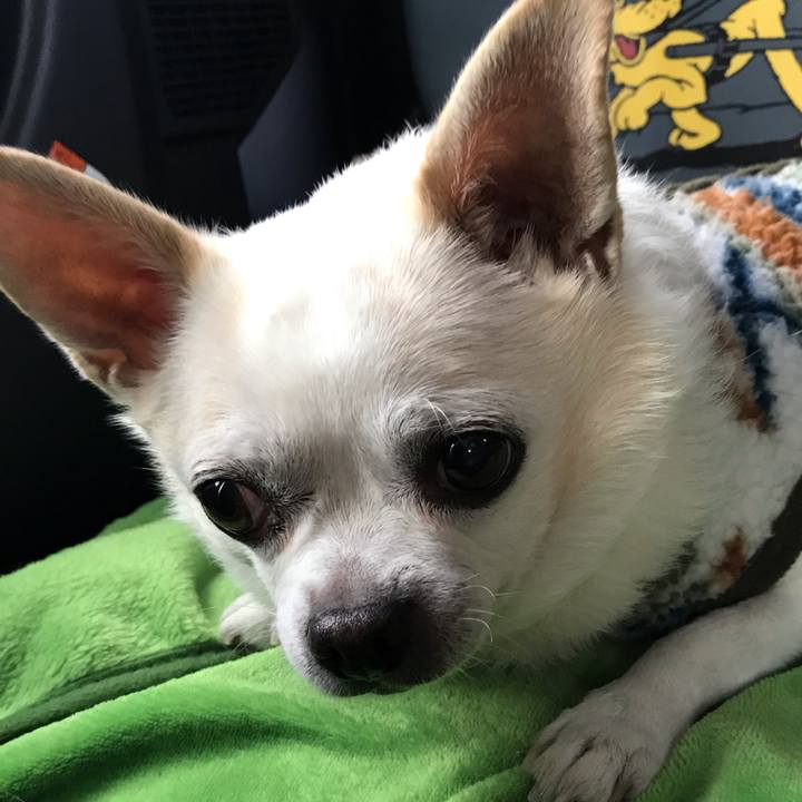 465b853f db16 4593 9662 2bb8b4292fbf 1580566978876