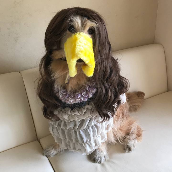 465ba225 efe8 482a 906a dacfe36930df 1588983840116