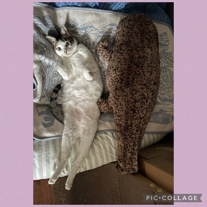 465bb95d 37fd 4c2a b4c6 66d4cd670283 1772968083690