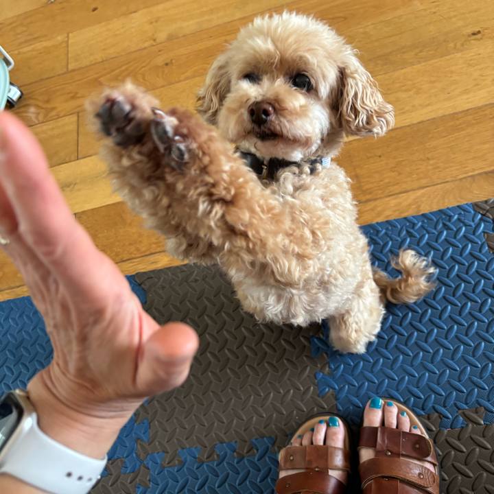 465bddba 93f7 4694 be32 c682ff8b34fa 1753008185577