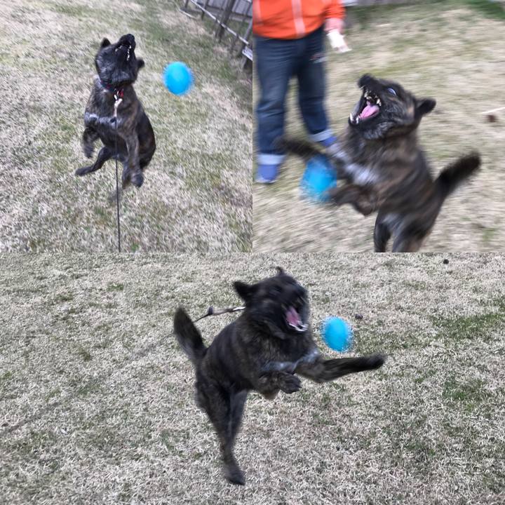 465c08ec 773f 4468 bbd5 45ec160409ec 1521430208954