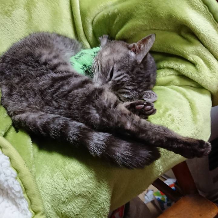 465c0f39 7ac4 47e1 a125 23c2d03cc7f8 1587275427571