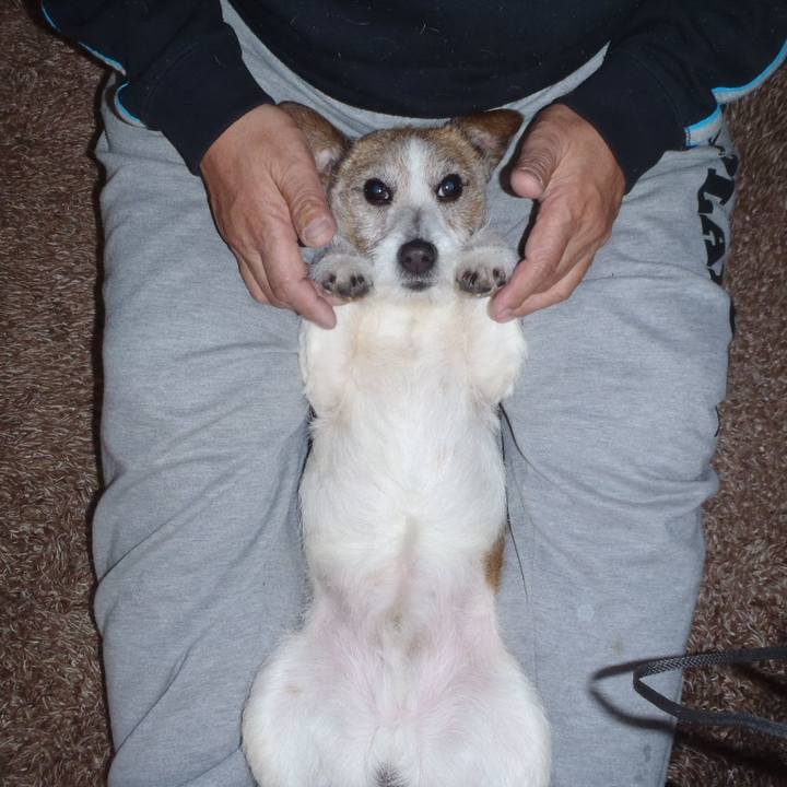 465c8183 17aa 40ee 82da 783cdbdcd950 1519818165154