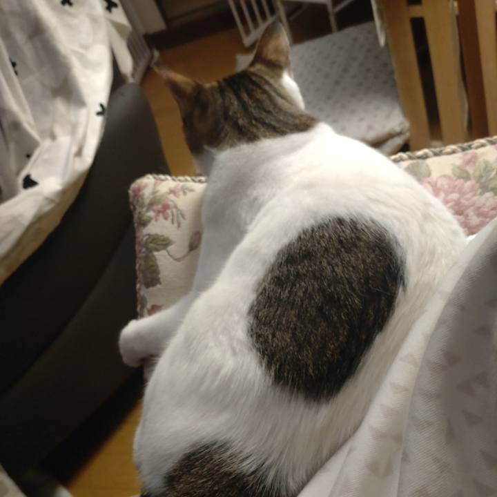 465d178f eeec 4d27 b506 bde0bc605425 1714480469004