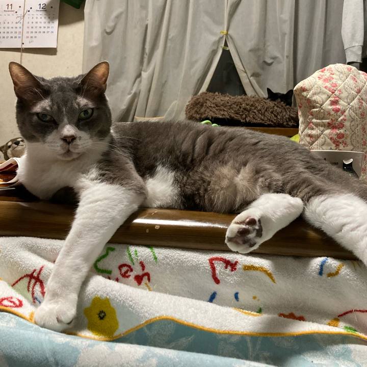 465d198a 0045 4b91 ba67 b2b356df81b7 1731070847138