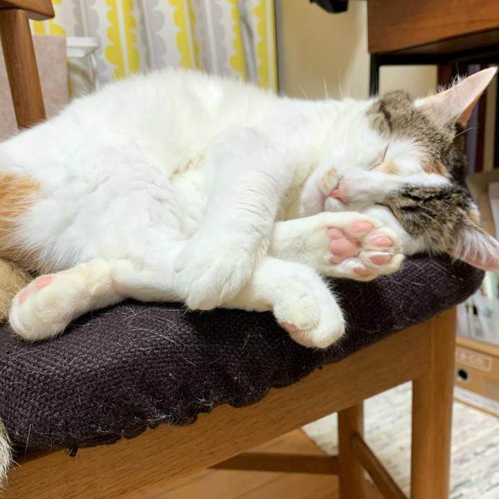 465d1aa6 9283 4c64 98b1 7cc82ddbea0a 1652516521197