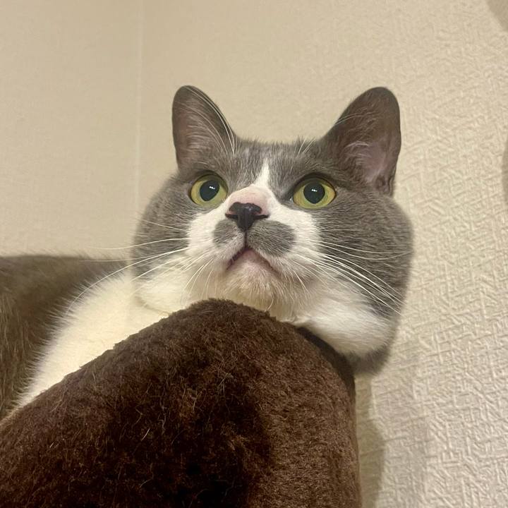 465d1d9e 1e46 4658 b058 2c6bf2f05551 1740039994218