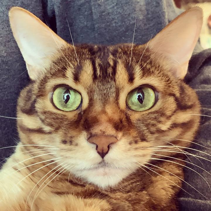 465d2d96 6f1c 4d54 9627 61eb60a8ad78 1607295901115