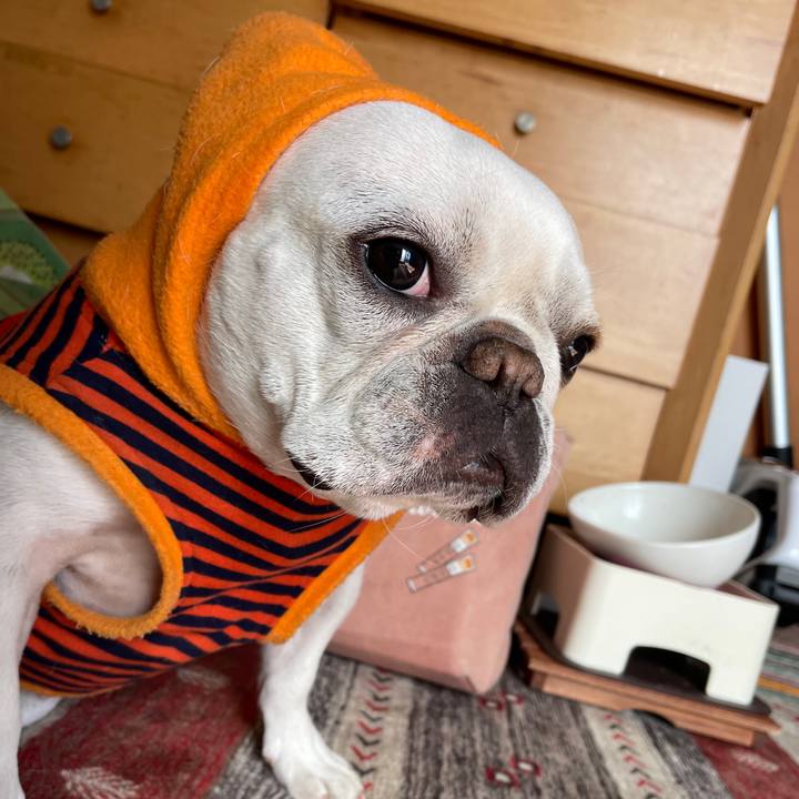 465d3234 8635 4739 a768 21eba8494c07 1739314760834