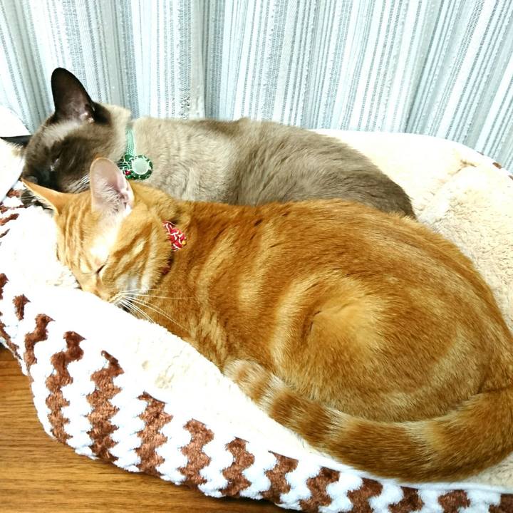 465d4e52 9dc9 47af bb6b f1b659053485 1554848668347