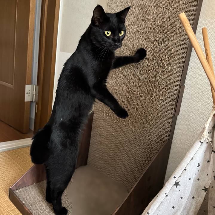 465d7a49 87e9 4d4b 8226 df847df11f98 1760227746230