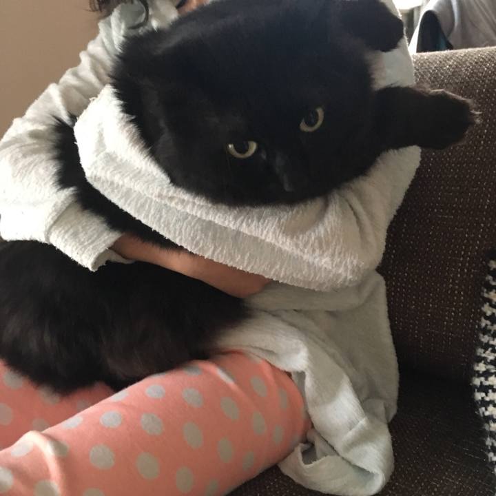 465d7b39 891d 498b 8469 90948ba5c55d 1526693026309