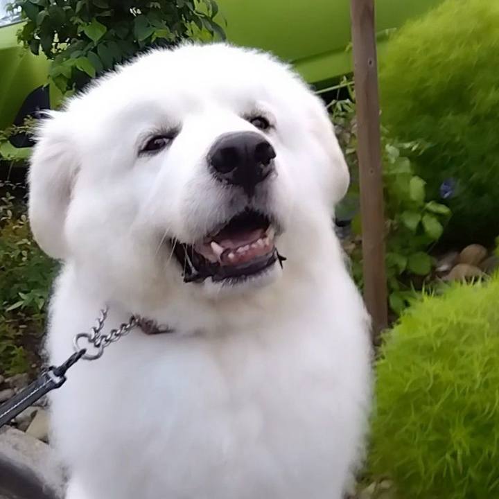 465d8e6c 7972 4ec2 8204 0e2753144604 1694311536917