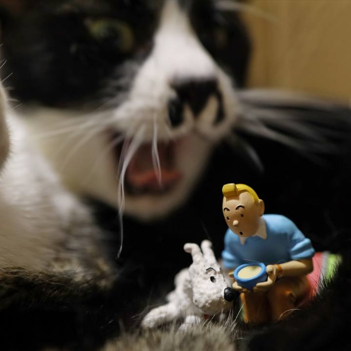 465d98d4 23ff 4164 b454 1535542fef43 1569157862255