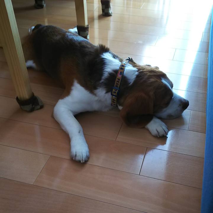 465da3ba 075e 4d37 8758 fbb6a109b52a 1586578415041