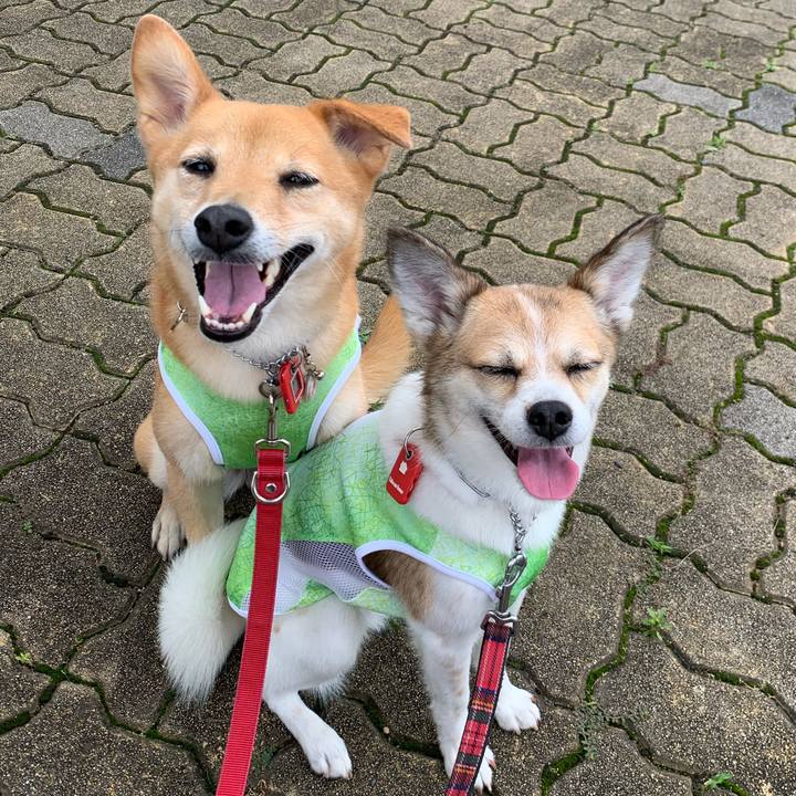 465dd87b d35d 4b92 a46e 17de6404f9d4 1594087340306