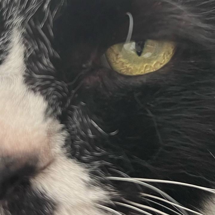 465df5c8 0920 46de 97f8 bbf8ad6920bf 1714799100359